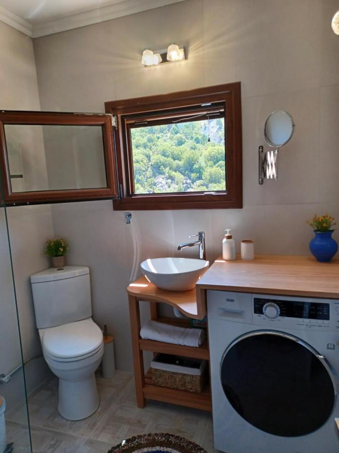 Rodanthe's Apartment Stemnitsa